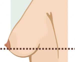 A diagram showing the size of a woman's breast.