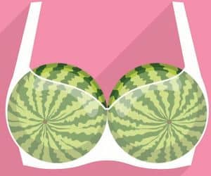 A bra with a watermelon on it.